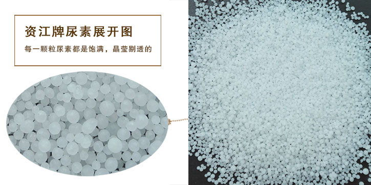 尿素生產廠家